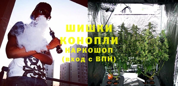 гашик Богородицк