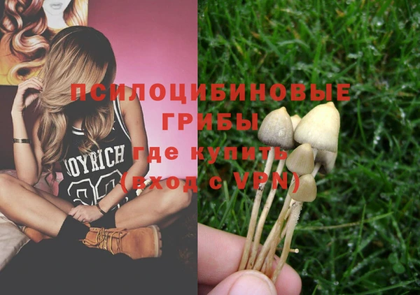 гашик Богородицк