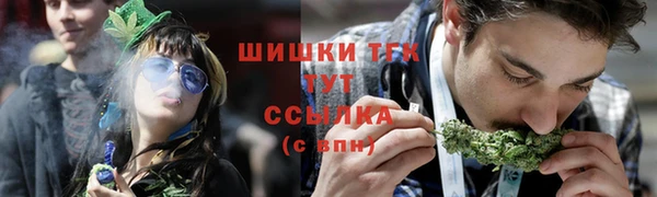 гашик Богородицк