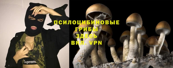 гашик Богородицк