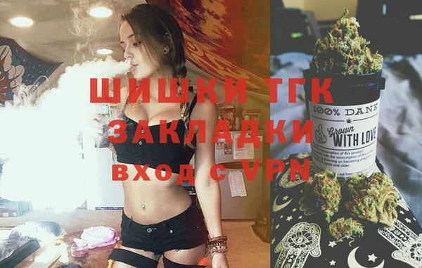 гашик Богородицк