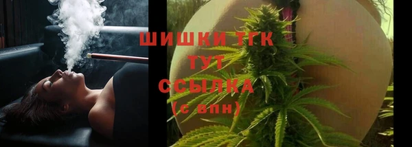гашик Богородицк