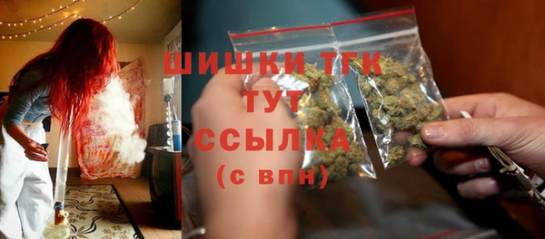 гашик Богородицк