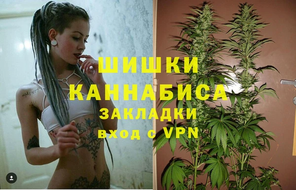 мескалин Богданович