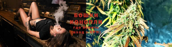 наркотики Белокуриха