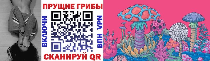 Галлюциногенные грибы прущие грибы  Вязьма 