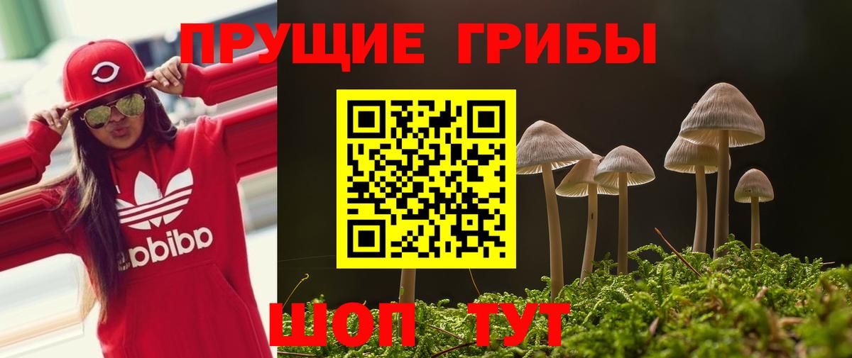 Вязьма  наркотики  Вход с VPN  Галлюциногенные грибы мухоморы 