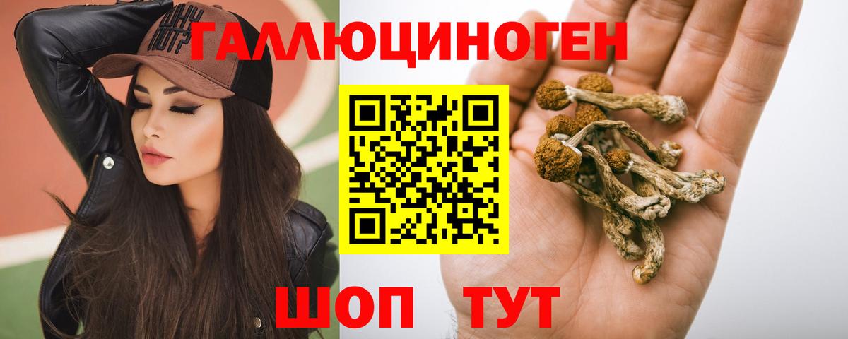 Галлюциногенные грибы MAGIC MUSHROOMS Вязьма